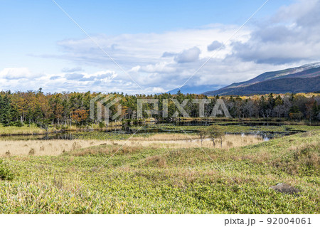 知床一湖 紅葉と冠雪 知床一湖 紅葉と冠雪 92004061