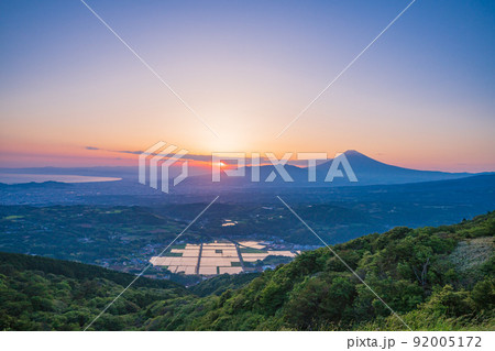 （静岡県）丹那盆地の水田と富士山　夕景 92005172