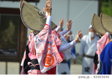 阿波踊り　春の祭典　徳島市　有名連の女踊り 92005640