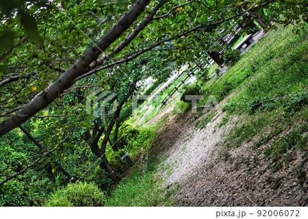河内長野市寺ヶ池公園の雨上がりの朱色の花 河内長野市寺ヶ池公園の雨上がりの朱色の花 92006072