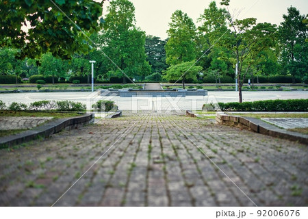 河内長野市寺ヶ池公園の雨上がりの朱色の花 河内長野市寺ヶ池公園の雨上がりの朱色の花 92006076