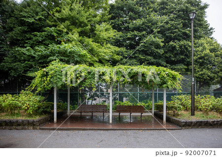 雨の日の公園のベンチ 雨の日の公園のベンチ 92007071