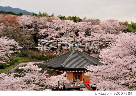 安倍文殊院(金閣浮御堂)   【奈良県桜井市】 92007204