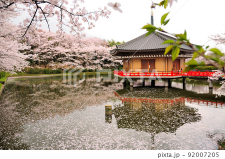 安倍文殊院(金閣浮御堂) 【奈良県桜井市】 安倍文殊院(金閣浮御堂) 【奈良県桜井市】 92007205