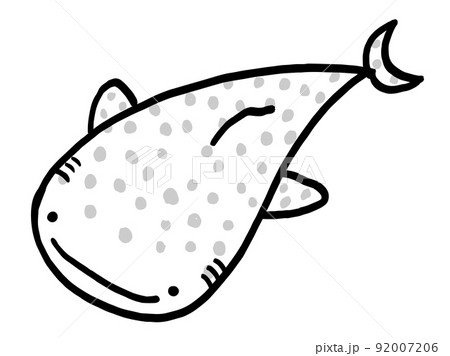 かわいいジンベイザメのモノクロイラスト/手描きイラスト素材 かわいいジンベイザメのモノクロイラスト/手描きイラスト素材 92007206