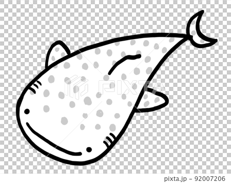可愛鯨鯊的單色插圖/手繪插圖素材 92007206