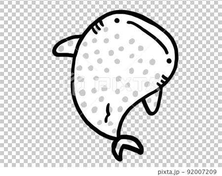 かわいいジンベイザメのモノクロイラスト／手描きイラスト素材 92007209