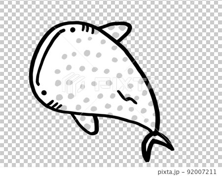 かわいいジンベイザメのモノクロイラスト／手描きイラスト素材 92007211