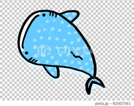 わいいジンベイザメ／手描きイラスト素材 92007361