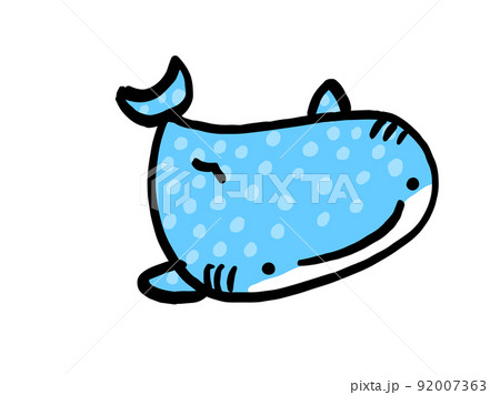 かわいいジンベイザメ／手描きイラスト素材 92007363