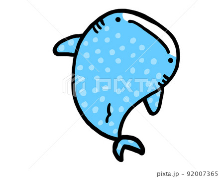 かわいいジンベイザメ/手描きイラスト素材 かわいいジンベイザメ/手描きイラスト素材 92007365