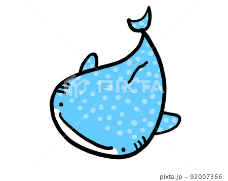 かわいいジンベイザメ／手描きイラスト素材 92007366