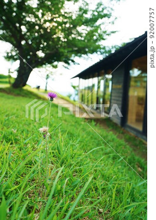 大分県玖珠町伐株山 92007757