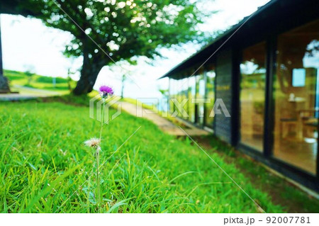 大分県玖珠町伐株山 大分県玖珠町伐株山 92007781