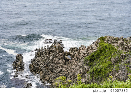 東尋坊の景色 東尋坊の景色 92007835