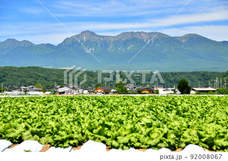 川上村のレタス畑より八ヶ岳方面を望む(長野県川上村)【2022.6】 川上村のレタス畑より八ヶ岳方面を望む(長野県川上村)【2022.6】 92008067