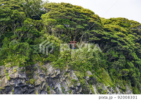 観光船から見る雄島（福井県）の大湊神社の鳥居 92008301