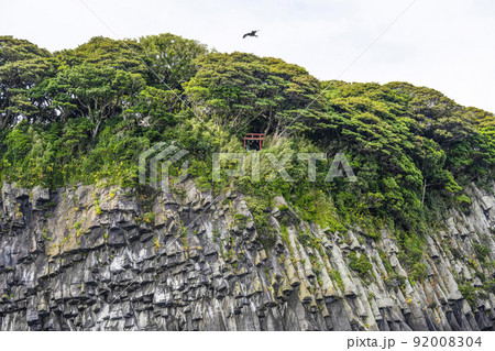 観光船から見る雄島（福井県）の大湊神社の鳥居 92008304