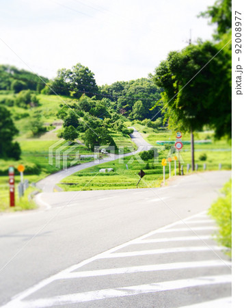 夏の飛鳥村　稲淵 92008977