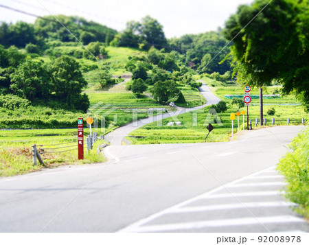 夏の飛鳥村　稲淵 92008978