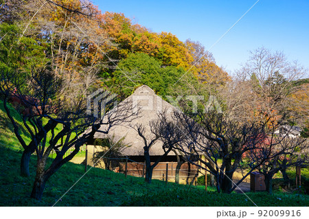 江戸時代からの養蚕農家 旧永井家住宅　薬師池公園（東京都町田市） 92009916