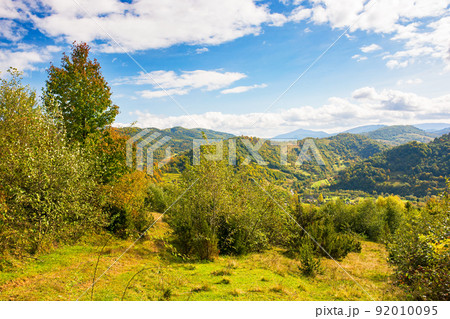 grassy meadow on the hill. colorful countryside landscape with forested mountains in autumn. cloudy weather 92010095