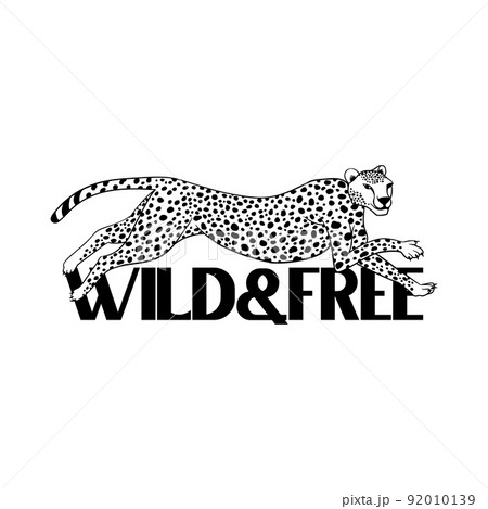 Wild and free text with vector illustration of a running jaguar for printing on T shirts and other purposes. 92010139