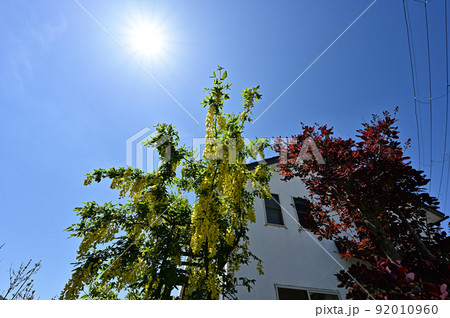 マイホームと庭 92010960