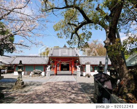 八代神社　（妙見宮）の境内と桜　（熊本県八代市） 92012243
