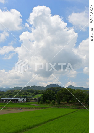 夏の風物詩 中荻野の夏 夏の風物詩 中荻野の夏 92012877