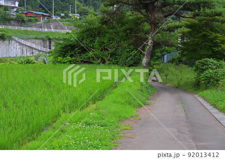道志の里風景 道志の里風景 92013412