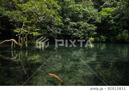 出流原弁天池 92013831