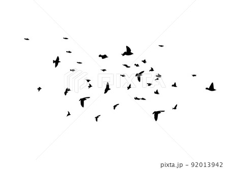A flock of flying birds. Free birds. Vector illustration A flock of flying birds. Free birds. Vector illustration 92013942