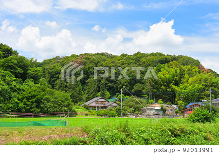 夏の里景色　厚木市 92013991