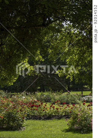 英国式バラ園　ヴィーゲラン公園　オスロ　ノルウェー　Vigelandsparken  Norway 92014552