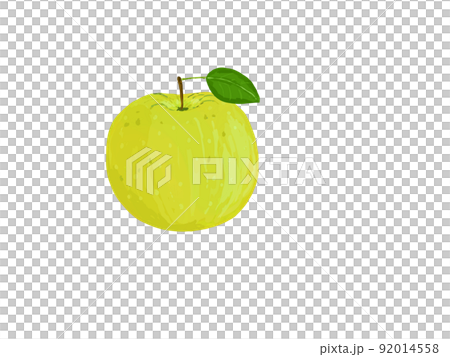 PNG水果秋綠無梨梨葉全廳真 PNG水果秋綠無梨梨葉全廳真 92014558