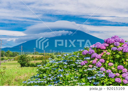 （静岡県）満開のアジサイと巨大な雲がかかった富士山 92015109