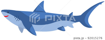 ドタブカ 92015276