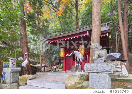 [九州・福津] 宮地嶽神社の森にある奥之宮 三寶大荒神のタンチョウヅルと狛犬の彫刻。 92016740