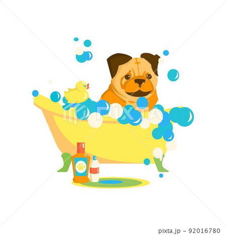 Pug in bubble bath. Bathroom washing for domestic animal. Grooming service. Cartoon vector illustration on white background Pug in bubble bath. Bathroom washing for domestic animal. Grooming service. Cartoon vector illustration on white background 92016780