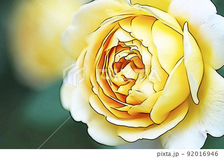 パステル調 ”満開のバラの花” イラストイメージ パステル調 ”満開のバラの花” イラストイメージ 92016946