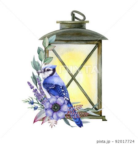 Winter cozy floral decor with blue jay bird and vintage lamp. Watercolor illustration. Blue jay with vintage lantern, anemone flower, lavender, eucalyptus, juniper. Rustic style warm cozy decoration 92017724