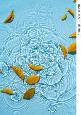 Abstract autumn background, falling leaves from yellow leaves on water with raindrops 92018490