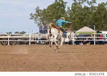 Cowboy On Bucking Bronco At Rodeo Cowboy On Bucking Bronco At Rodeo 92021358