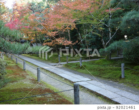 本堂に向かう石畳みを彩る紅葉のある庭園の風景 92021461