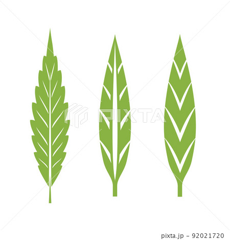Cannabis Leaf 92021720