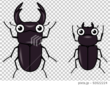 Dorcus hopei 92022224