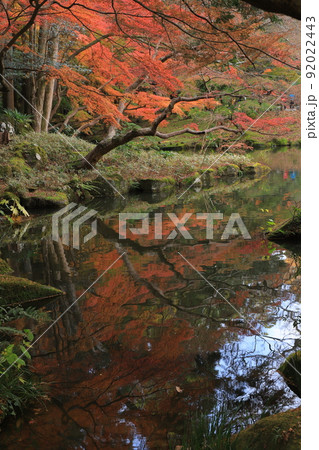 成田山新勝寺の成田山公園の紅葉 92022443