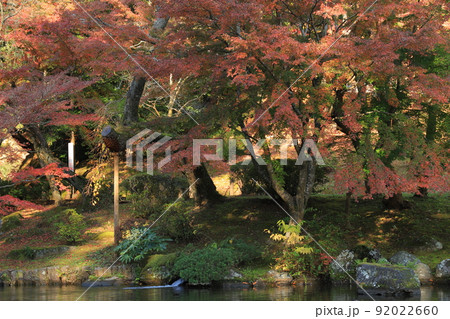 成田山新勝寺と成田山公園の紅葉と黄葉 成田山新勝寺と成田山公園の紅葉と黄葉 92022660