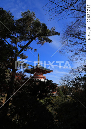 成田山新勝寺と成田山公園の紅葉と黄葉 92022717